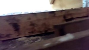 ошибки, шатровая крыша