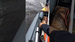 Ямаха 2 на байдарке Хатанга 3