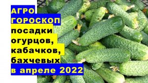 Агрогороскоп посева семян огурцов, кабачков, арбузов, дынь на рассаду в апреле 2022 года