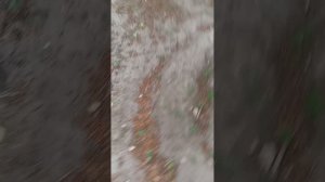 ДНИ НА УЛИЦЕ (ВСЕ СЕРИИ ПОДРЯД) 
🌿🌌