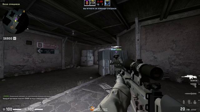 Хвостатый КС ? @SweetyDVEN @PROGDY смотреть онлайн