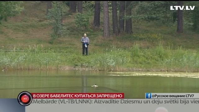 В озере Бабелитес купаться запрещено смотреть онлайн