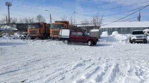 НИВА ВИС 2346