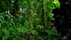 ENIGMA Silverstate - Inception