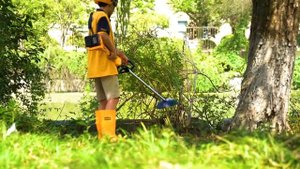 Lithium String Trimmer And Brush Cutter CSTLI200285