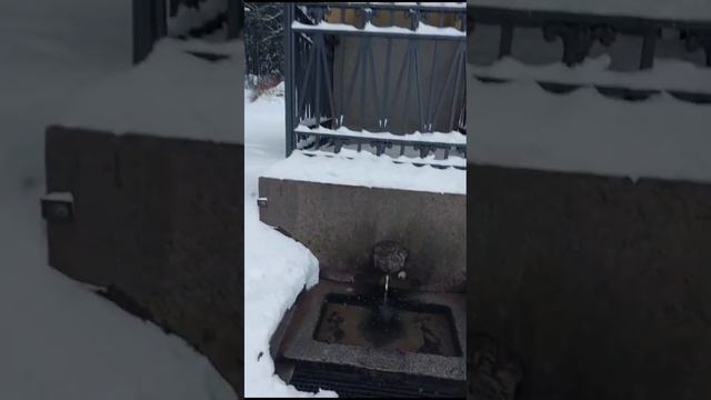 "Нарцисс". смотреть онлайн