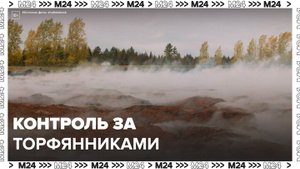 В Подмосковье усилили контроль за состоянием торфяников из-за жары - Москва 24