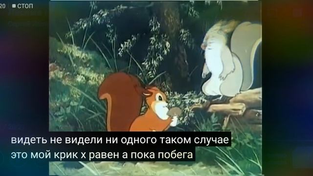 лесные путешественники