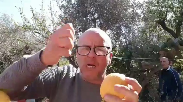 Лимон смотреть онлайн