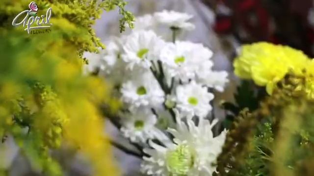 Как становятся флористами! Школа флористики Ивана Базина смотреть онлайн