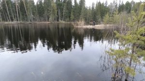 ВЕСЕННИЕ ОКУНИ ПОШЛИ НА ПОПЛАВОК! ЛЕТНЯЯ РЫБАЛКА 2021 НАЧАЛАСЬ УДАЧНО! МОРМЫШКА РУЛИТ ПО ХИЩНИКУ!