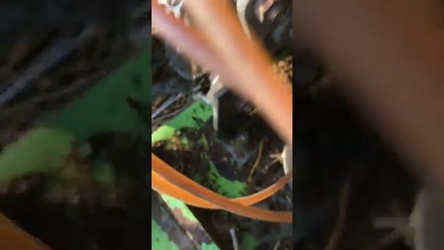 Пресподборщик тюковый STAR 1060 номер 3225311 смотреть онлайн