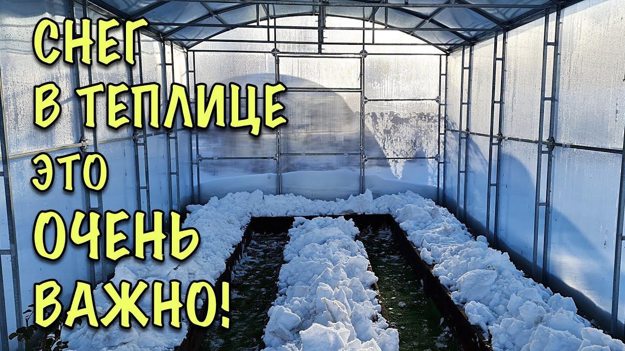 ОБЯЗАТЕЛЬНО заполняю СНЕГОМ ТЕПЛИЦУ