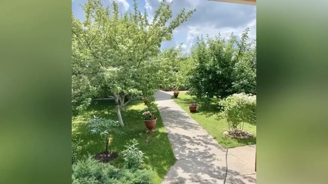 Купить дом в Чайковском смотреть онлайн