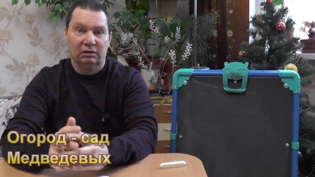 Организация условий для выращивания теплолюбивых культур в теплице смотреть онлайн