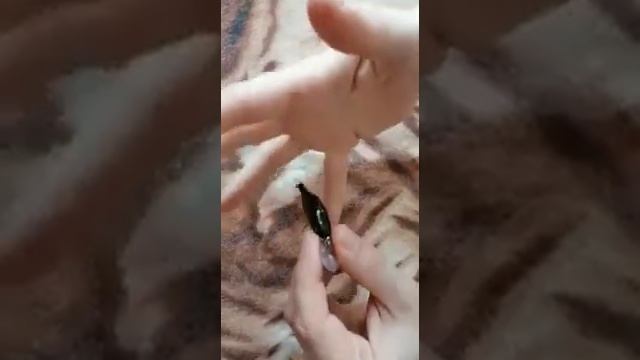 Видео обзор и распаковка посылки воблера ITUMO Bite 50 sp от интернет магазина Fmagazin. смотреть онлайн