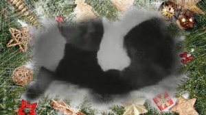 СССР встречает Новый год (1935)