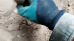 Раскопки немецкого блиндажа на поле от JONI 78