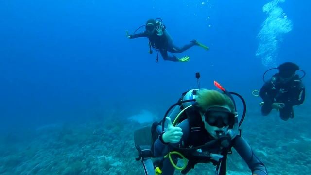 Дайвинг в Шарм-эш-Шейхе 2021 - Dolphin Diving Center смотреть онлайн