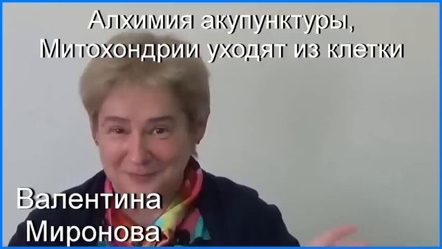 Алхимия акупунктуры. Митохондрии уходят из клетки. Академик Миронова Валентина Юрьевна