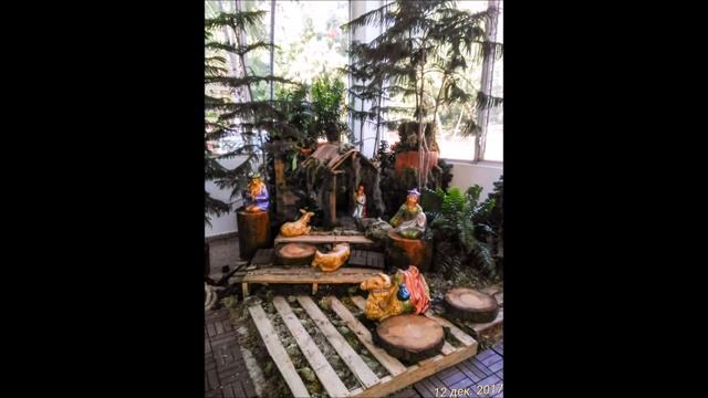 Доминикана Пуэрто Плата 12 2017г смотреть онлайн