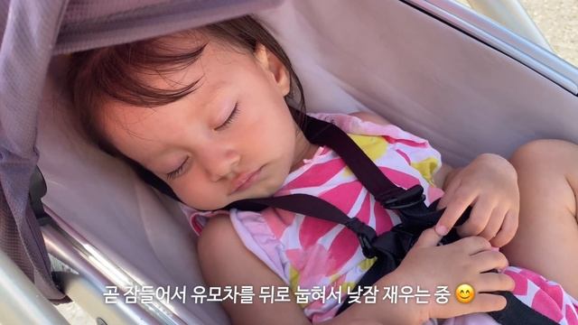 [SUB] 씨월드(SeaWorld)에 다녀왔어요 | 묻지마 폭행, 시선 강탈하는 관종 베이비 | 12년 만에 롤러코스터 | 돌고래쇼 범고래쇼 | 국제가족 ? 온을