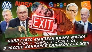 Билл Гейтс атаковал Илона Маска / Слон — убийца крокодилов / В России кончился силикон для жоп