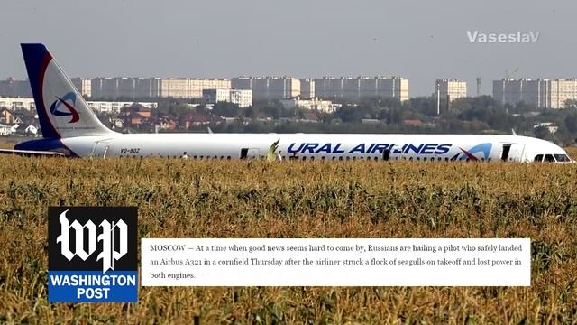 ЧУДО НА КУКУРУЗНОМ ПОЛЕ - Комментарии со всего мира смотреть онлайн