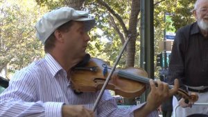 3-D Printed Violin Bridge - Thomas Howell