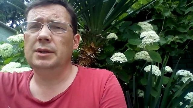 Гостиница Светлячок, Дивноморское, пер. Светлый 9