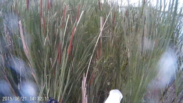 общество анонимных говномесов. Эндуро Калач-на-Дону смотреть онлайн