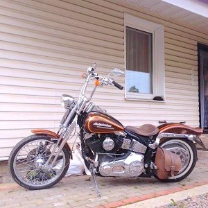 Любимый байк Алексеича - Harley-Davidson Softail FXSTS Спрингер.