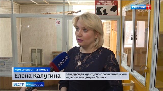 Детеныш кенгуру в зооцентре «Питон» смотреть онлайн