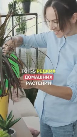 Самые НЕОБЫЧНЫЕ РАСТЕНИЯ для дома