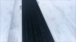 Сорочаны 2019.mp4