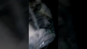 W202 мерседес тросик газа