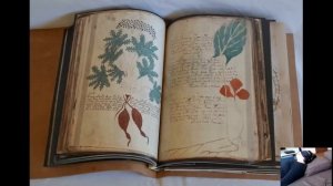 Манускрипт Войнича: Скрытое описание существ берущих энергию с человека