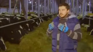 Ферма Джона Кописки   КФХ Рождество