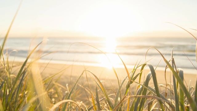 Очень красивое пение ХОРА! Утро чуть брезжит. Красивые Христианские песни МСЦ ЕХБ смотреть онлайн