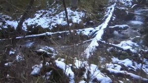 Охота на "Медведя" охоту.Верховая тайга.