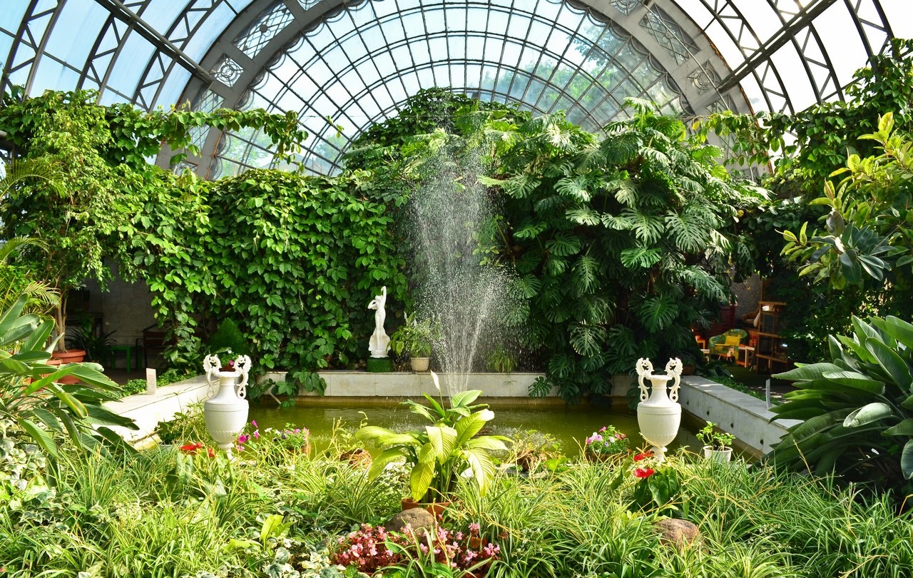 таврический сад в санкт петербурге фото