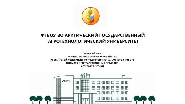 Виртуальный день открытых дверей смотреть онлайн