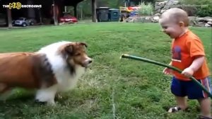 Дети играют с собаками