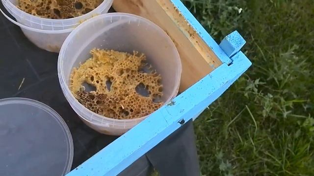 даём сироп в ведёрках . дубль 2 смотреть онлайн