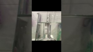 Родник Про 2