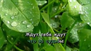 Чего только нет, Солдатушки - Детские песни караоке