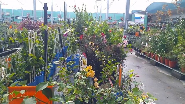 Цветочно-садовый рай для садовода.. смотреть онлайн