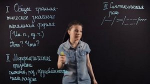 Русский язык 6 класс: Морфологический разбор имени существительного