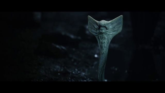 Криповая хренатень: Почти ксеноморфы смотреть онлайн