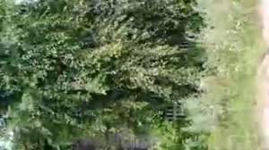 Самый Старый Дом В Каргаске Сколько Лет Ему Примерно ? 2019 Каргасок.